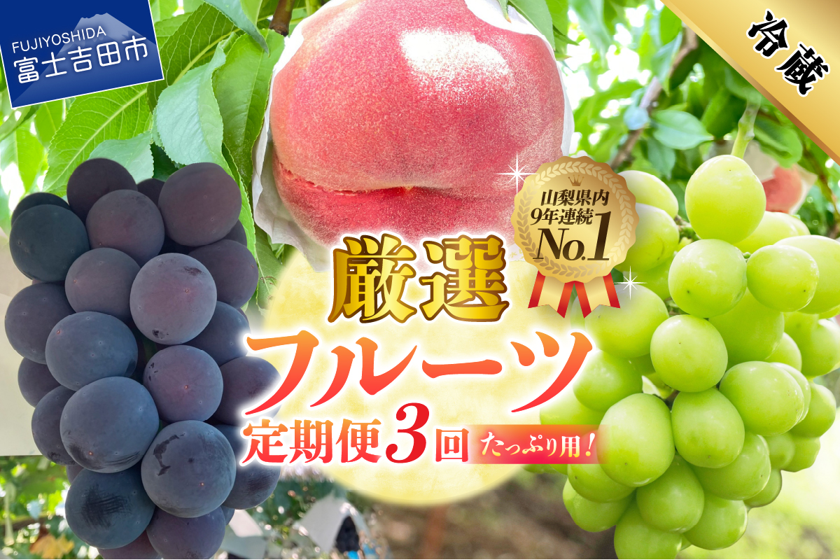 【2026年発送 先行予約】【定期便】 厳選 フルーツ3回定期便