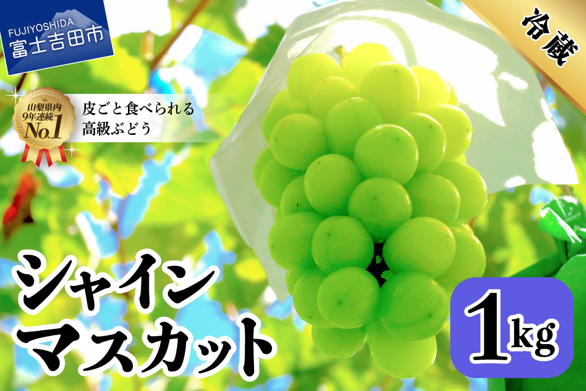 【2026年発送】山梨県産 シャインマスカット約1㎏（2～3房）