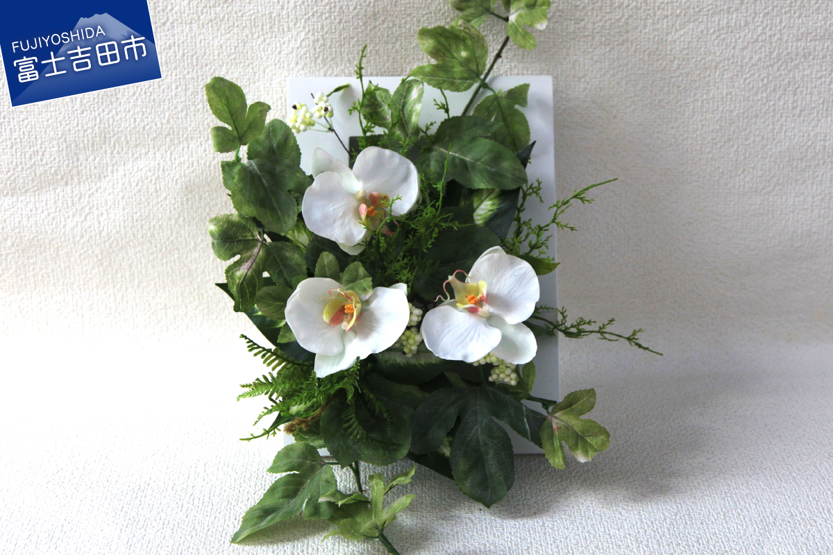 グリーンとコチョウラン（フレーム）