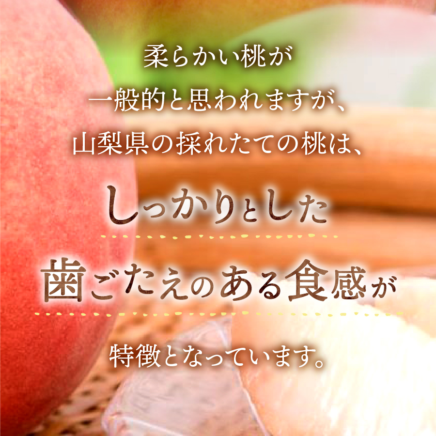 【2026年発送 先行予約】【2回定期便】山梨朝どれ桃2kg×2回配送（白鳳系・白桃系）