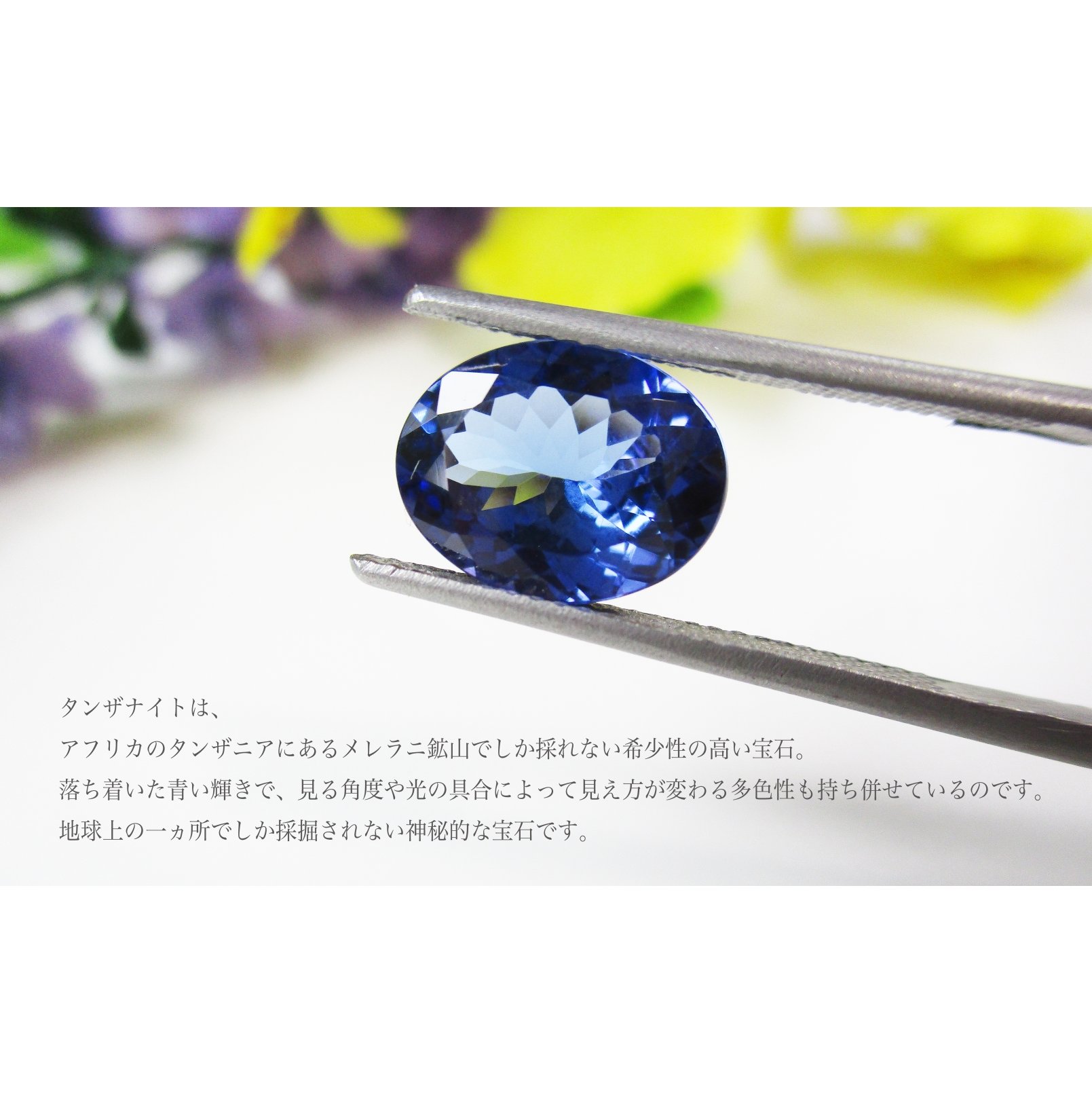 繝励Λ繝√リ繧ソ繝ウ繧カ繝翫う繝医Μ繝ウ繧ー KT926