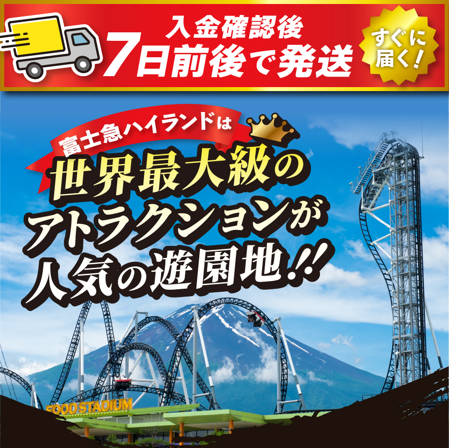 富士吉田市ふるさと納税限定　富士急ハイランドワンデイパス　ファミリーチケット3名（大人2名・小人1名）