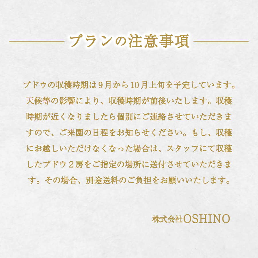 富士吉田市産　ブドウ狩りプラン(シャインマスカット)