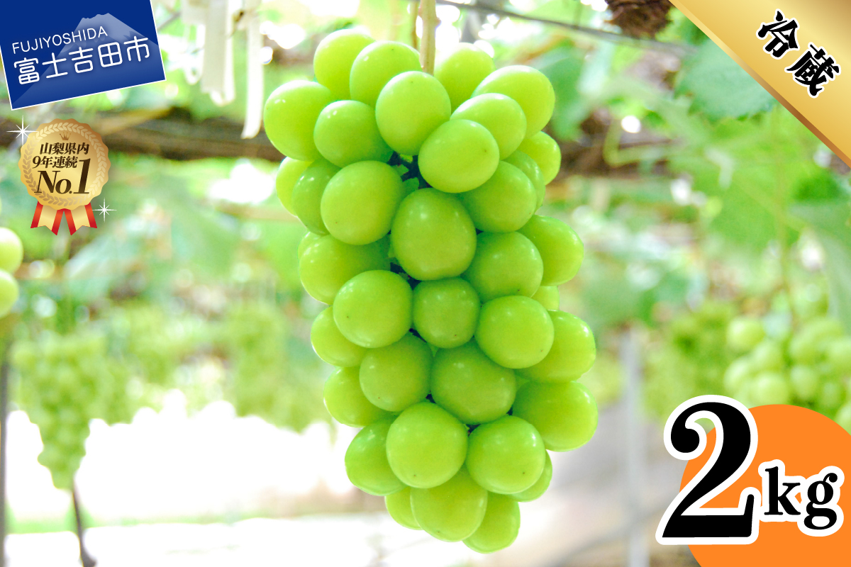 【2026年発送】山梨県産シャインマスカット2kg(3～5房)