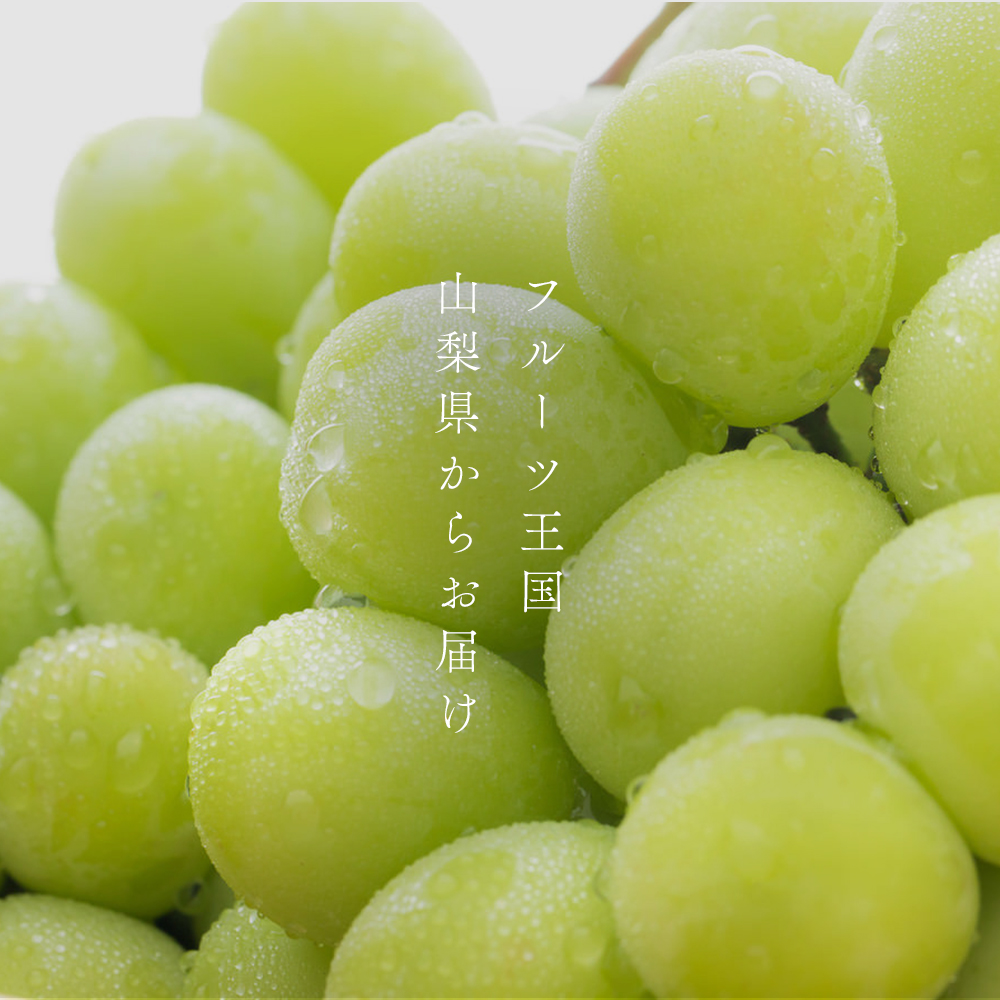 【2026年発送 先行予約】山梨県産シャインマスカット3kg