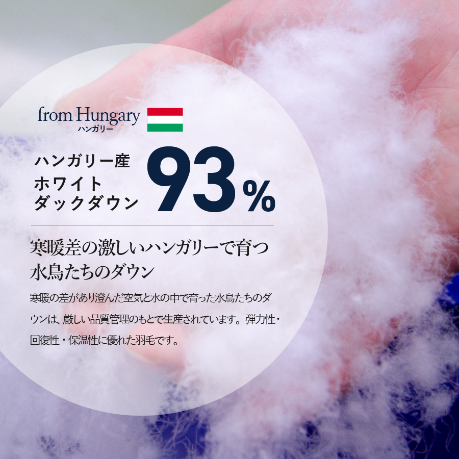 ãããå¿é¿ç95.9%ãããã£ãšèæã¿ã€ãã®çŸœæ¯åžå£ããã£ãŒããã©ãŠã³ïŒããã«ïŒ