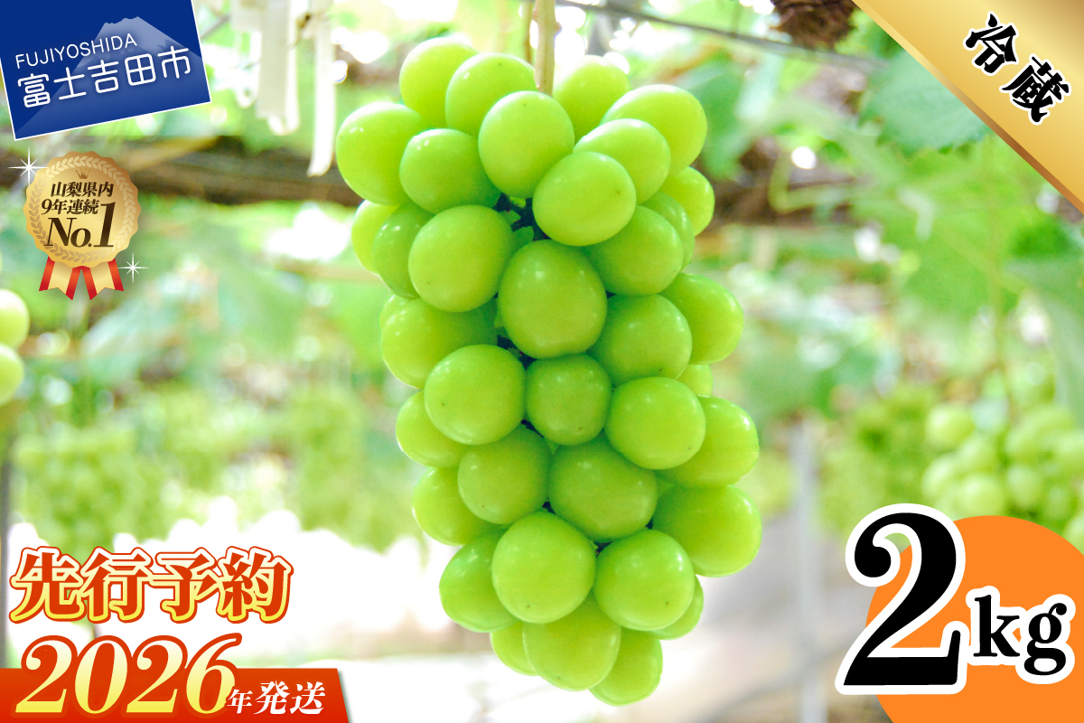 ã2026幎çºé å
è¡äºçŽã山梚çç£ã·ã£ã€ã³ãã¹ã«ãã2kg(3ïœ5æ¿)