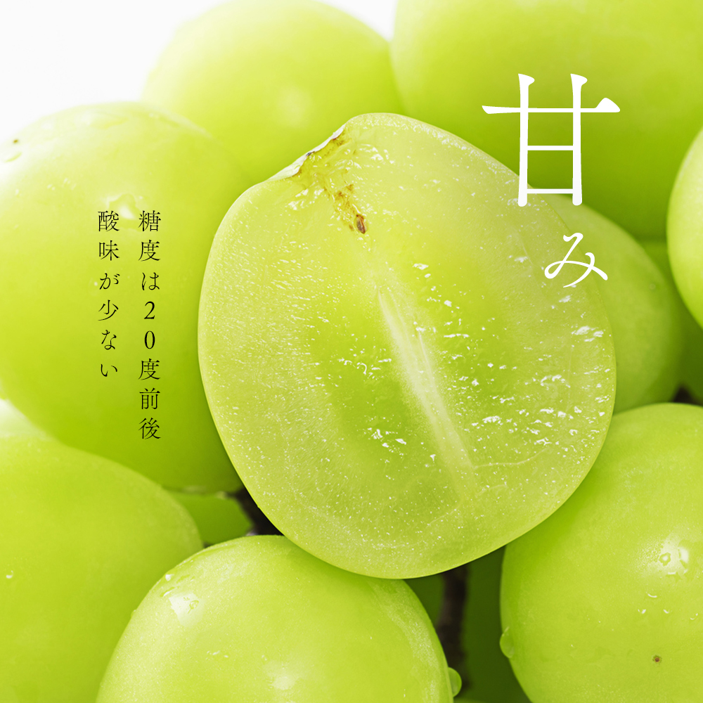 【2026年発送 先行予約】山梨県産シャインマスカット3kg