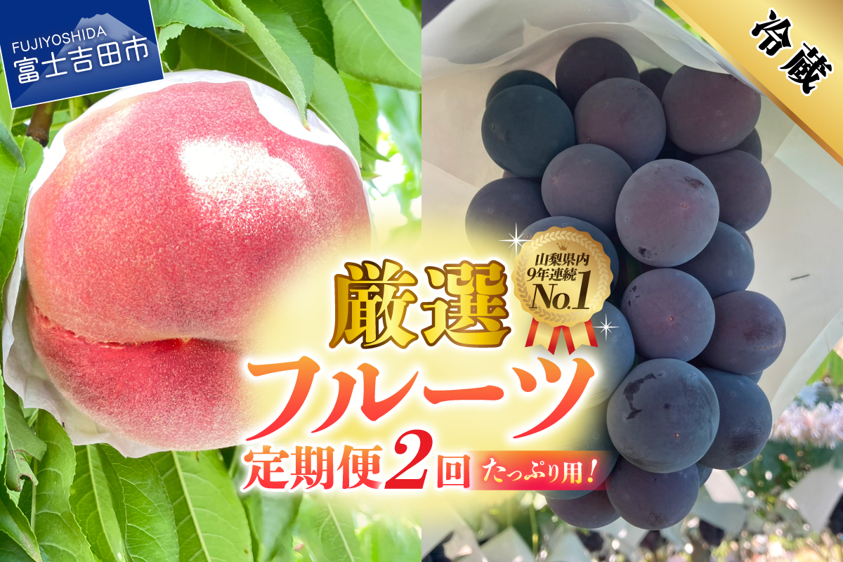 【2026年発送】【2回定期便】厳選 旬のフルーツ定期便（桃2kg・黒ぶどう1kg以上）