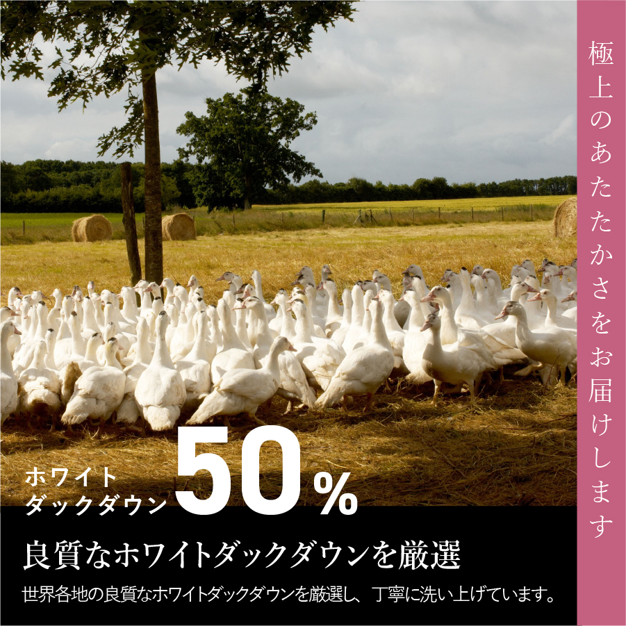 【甲州羽毛ふとん】洗える羽毛こたつ布団（長方形）