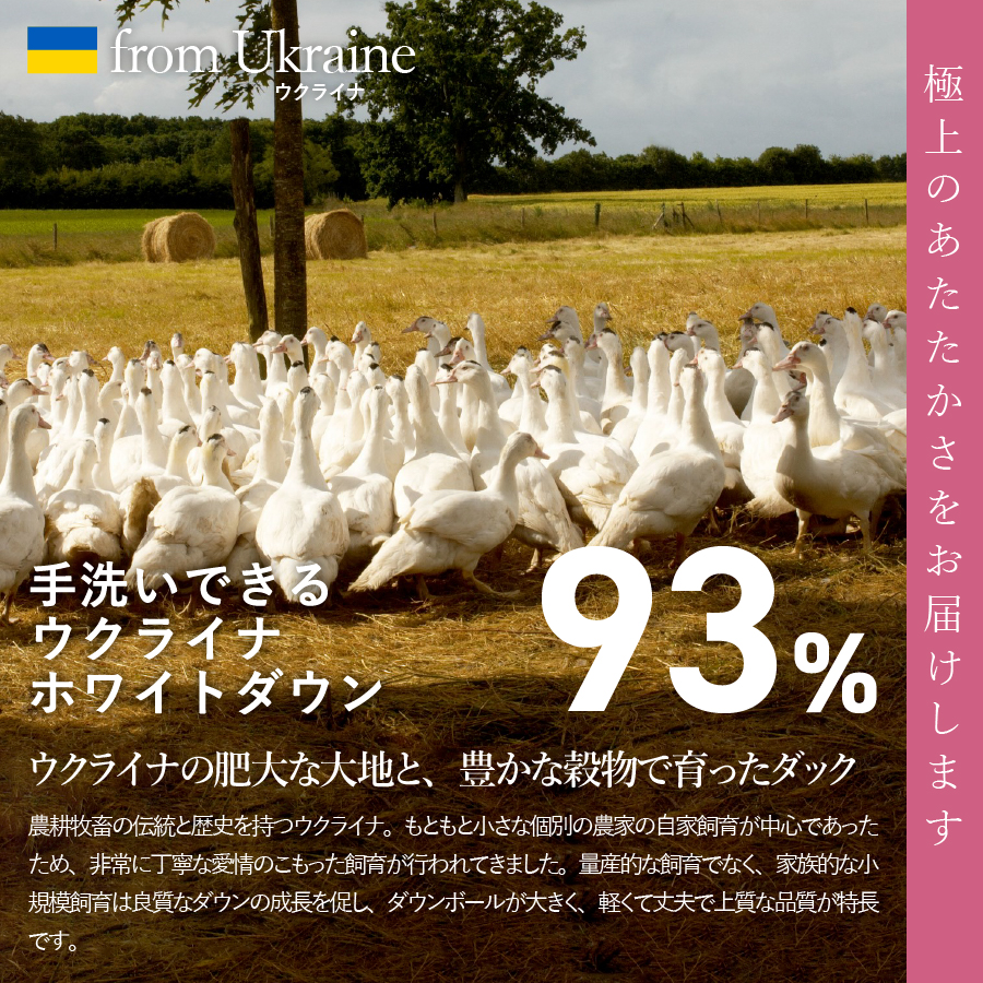 【甲州羽毛合掛けふとん】手洗いできるウクライナホワイトダウン93% ホワイト（ダブル) ふとんカバー付