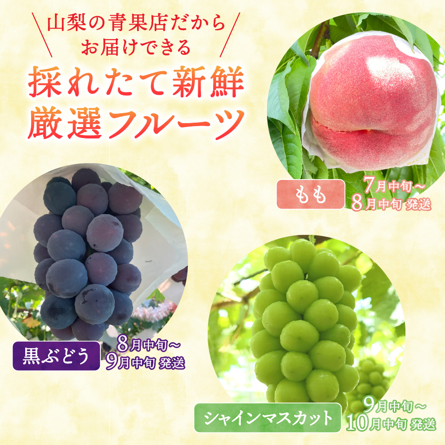 ã2026幎çºé å
è¡äºçŽããå®æäŸ¿ã å³éž ãã«ãŒã3åå®æäŸ¿