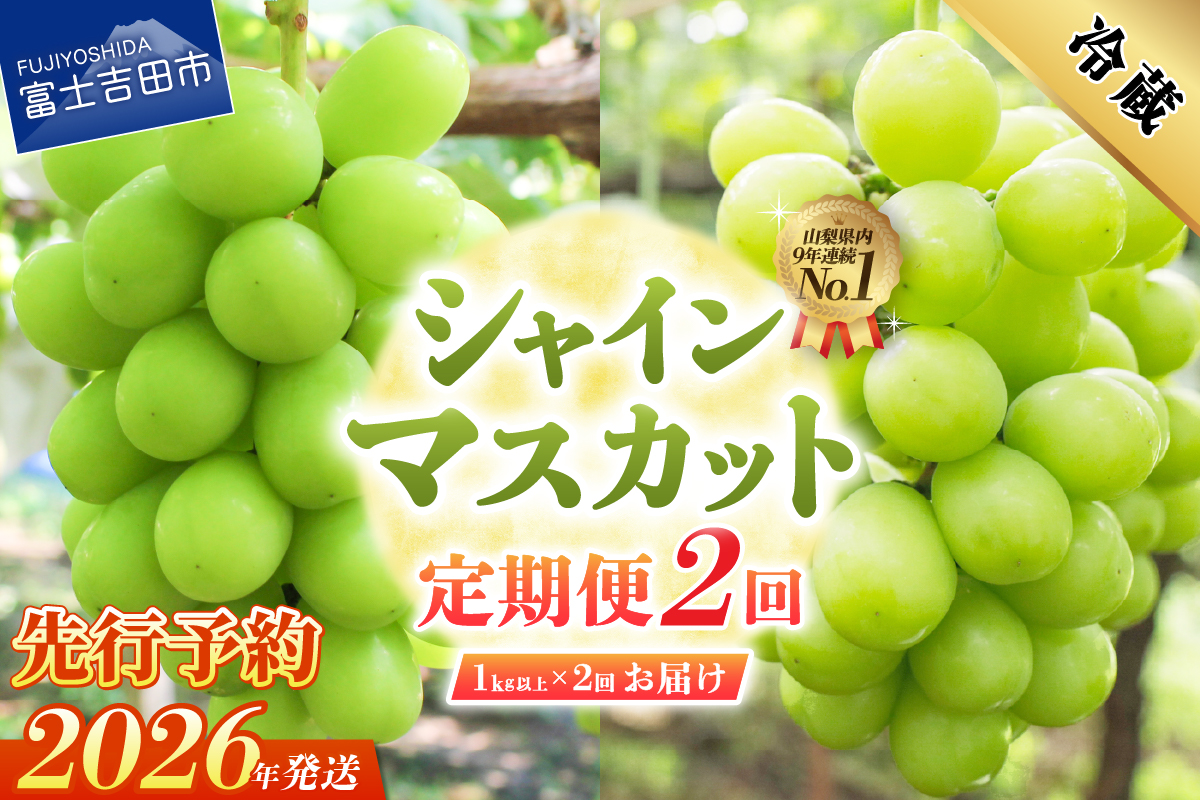【2026年発送 先行予約】【2回定期便】ジューシーで甘さ抜群 厳選シャインマスカット1kg以上×2回配送