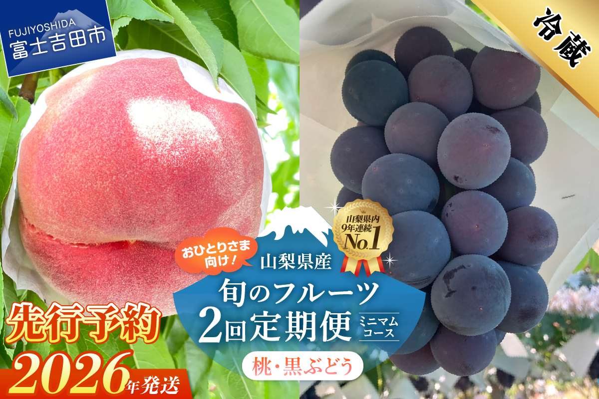 【2026年発送 先行予約】【ミニマム 2回定期便】厳選 旬のフルーツ定期便（桃3玉・黒ぶどう1房）