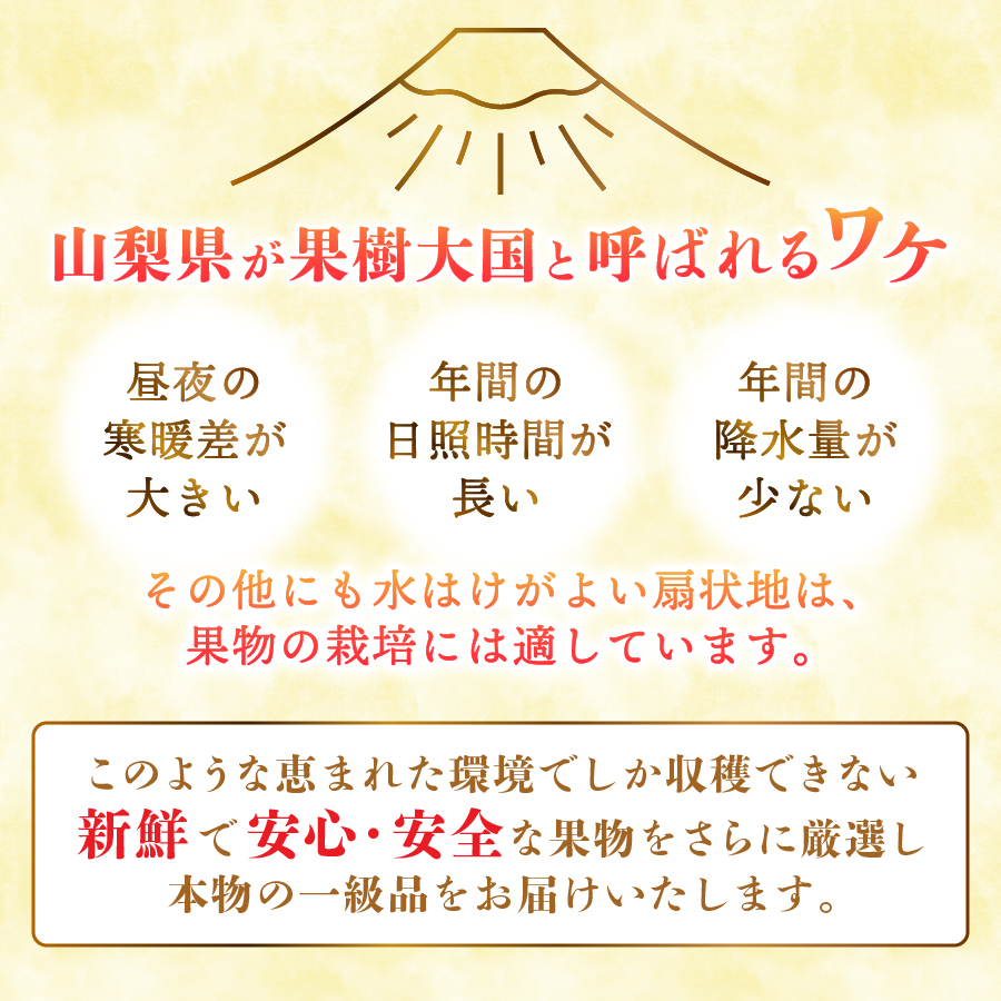 【2026年発送】【3回定期便】ジューシーで甘さ抜群 厳選シャインマスカット1kg以上×3回配送