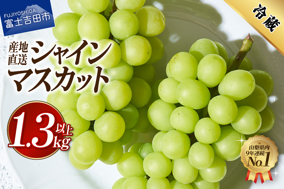 【2026年発送】高級 山梨県産 シャインマスカット 2～3房 （1.3kg以上）