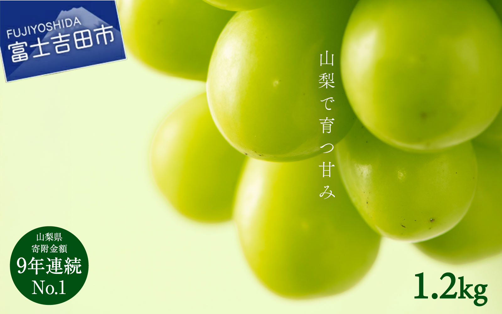【2026年発送 先行予約】山梨県産 シャインマスカット2～3房 (1.2kg以上)