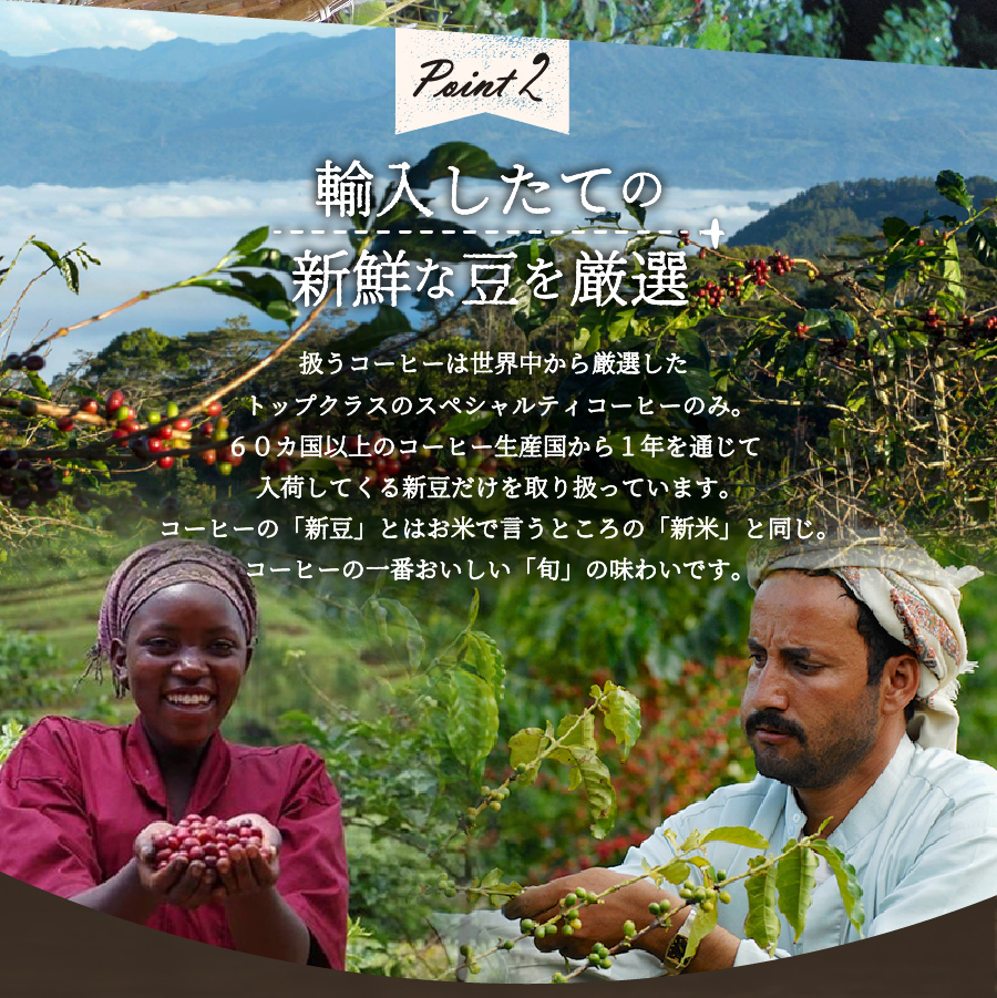 【訳あり】八百万ブレンド 深煎り ドリップバッグコーヒー (12g×40個)