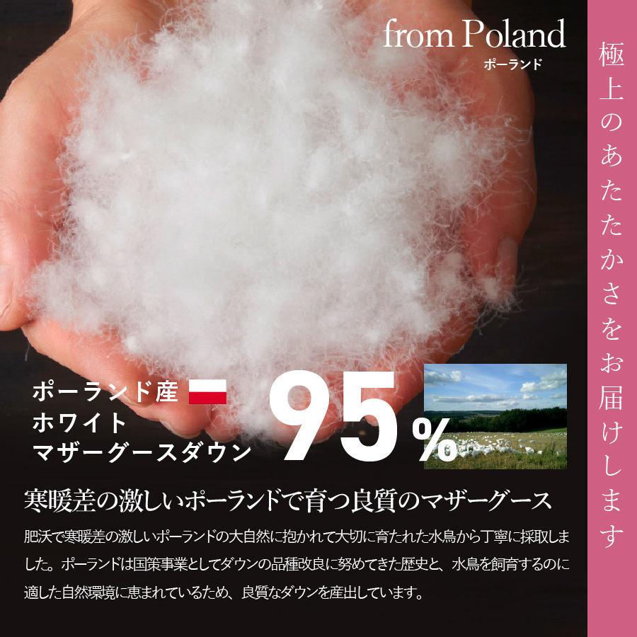 【甲州羽毛合い掛けふとん】ポーランドプレミアムマザーグース95%超長綿 ホワイト (キング) 羽毛布団