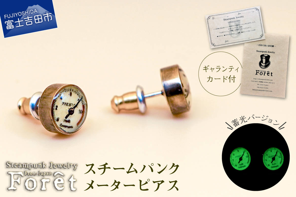 Steampunk スチームパンク メーターピアス