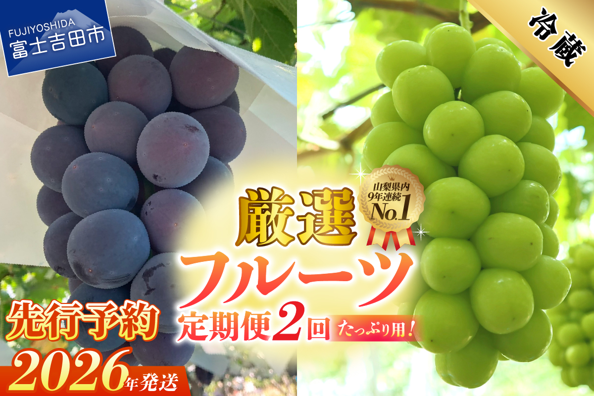 【2026年発送 先行予約】【2回定期便】厳選 旬のフルーツ定期便（黒ぶどう1kg以上・シャインマスカット1kg以上）