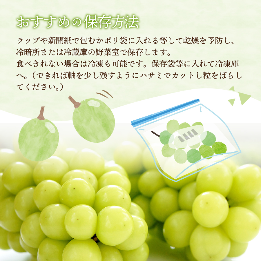 ã2026幎çºé å
è¡äºçŽã山梚çç£ã·ã£ã€ã³ãã¹ã«ãã2kg(3ïœ5æ¿)