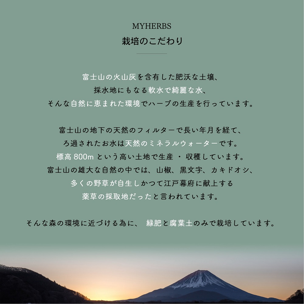 【メール便発送】ハーブティーお試しセット（ミント＆レモン）ティーバッグ5個