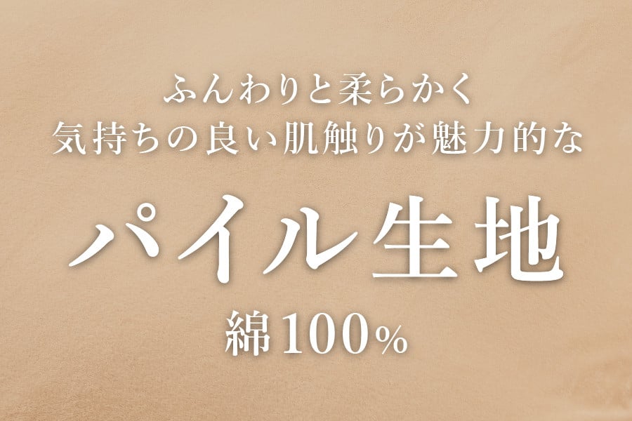 Sybilla(シビラ)刺繍入りパイルプレーン　掛け布団カバー　枕カバーセット　ミスト