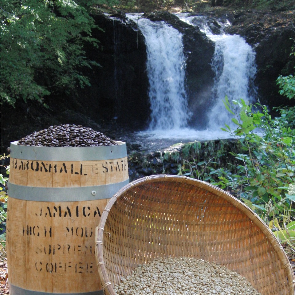 フェアトレードコーヒー　ミャンマー＆東ティモール(ドリップ)