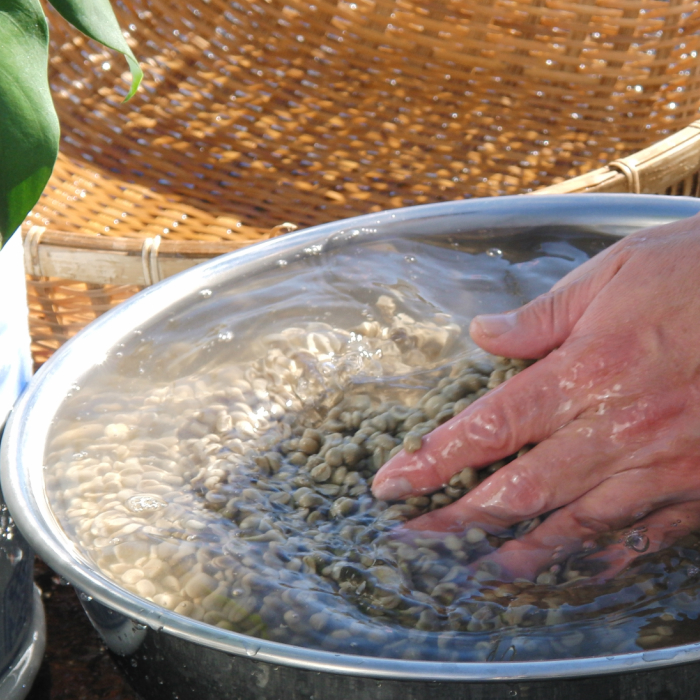 フェアトレードコーヒー　ミャンマー＆東ティモール(ドリップ)
