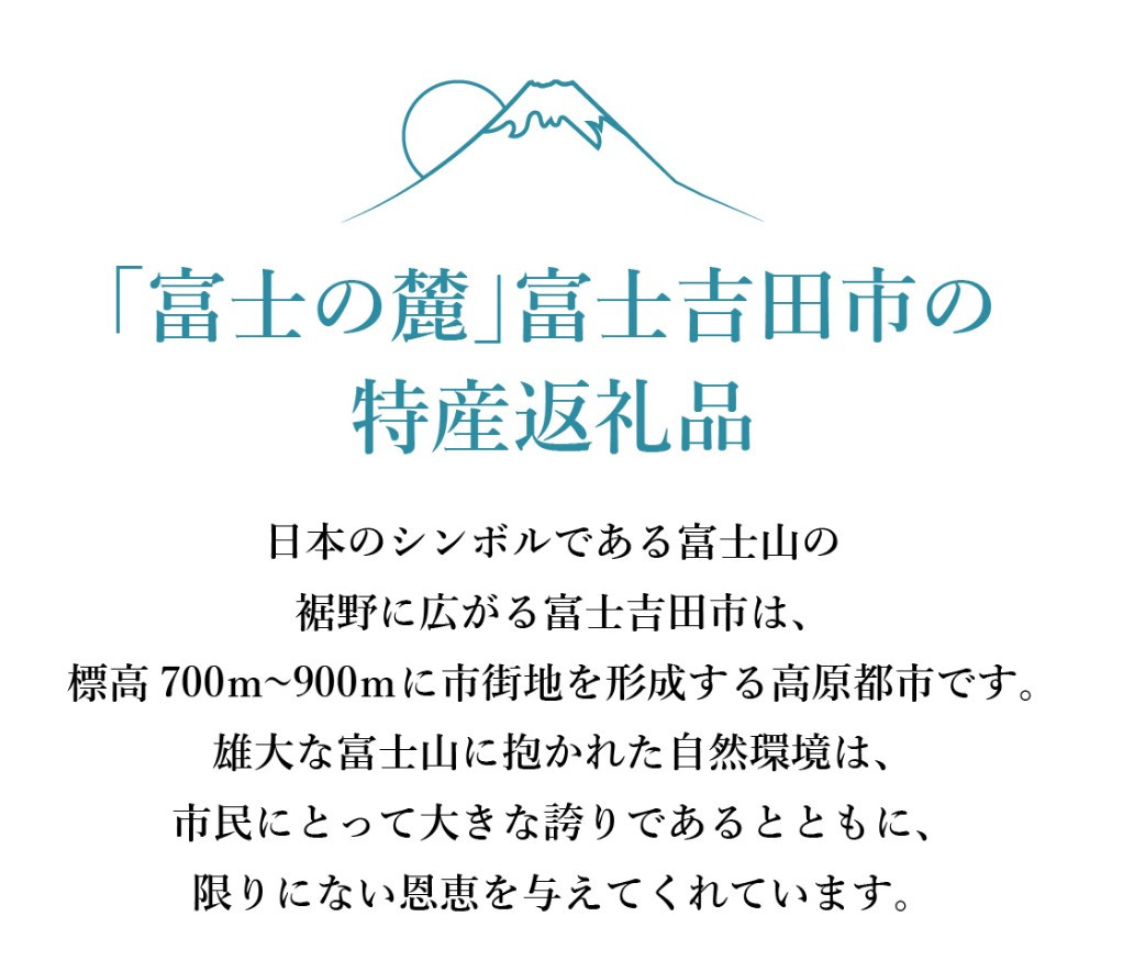 【Hadashin】シルクネクタイ 横段ストライプ柄 ブラウン