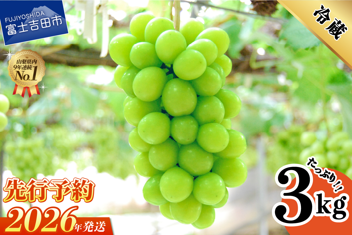 縲2026蟷エ逋コ騾 蜈郁。御コ育エ縲大アア譴ィ逵檎肇繧キ繝」繧、繝ウ繝槭せ繧ォ繝繝3kg