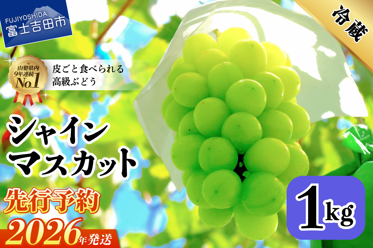 【2026年先行予約】山梨県産 シャインマスカット約1㎏（2～3房）
