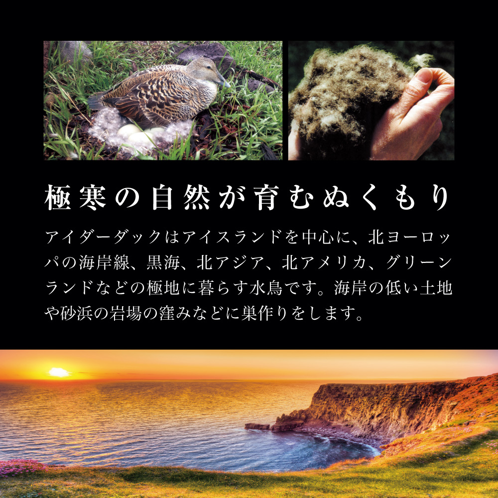 ãèèå¯å
·ã¡ãŒã«ãŒããã³ã¹å°æç£ä¿®ã矜æ¯ã®å®ç³ãã¢ã€ããŒããŠã³ãã®çŸœæ¯èæããµãšã(ã·ã³ã°ã«) ãšã³ãž