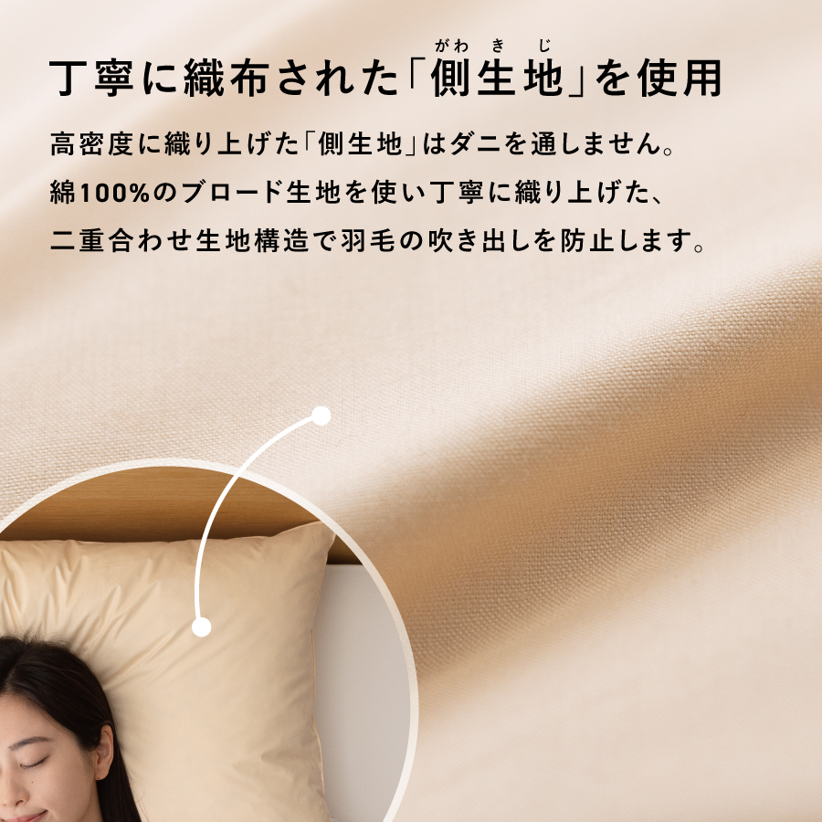 ãç²å·çŸœæ¯ãµãšãããã§ã¶ãŒãŸããäžå€ïŒ43Ã63cmïŒ