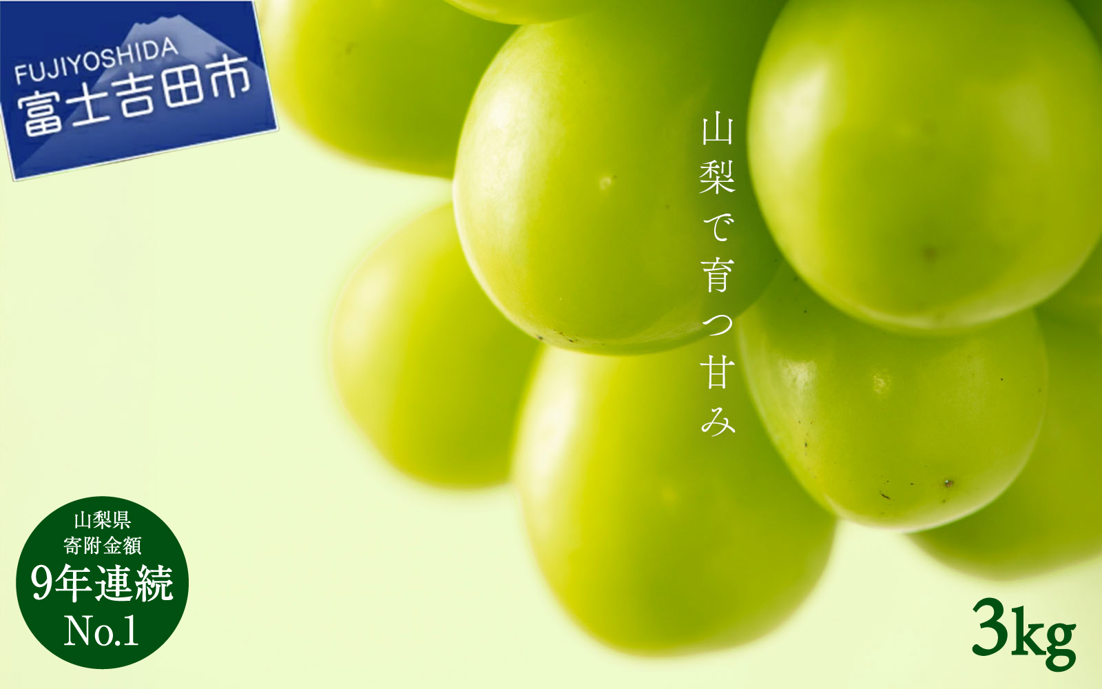 【2026年発送 先行予約】山梨県産シャインマスカット3kg