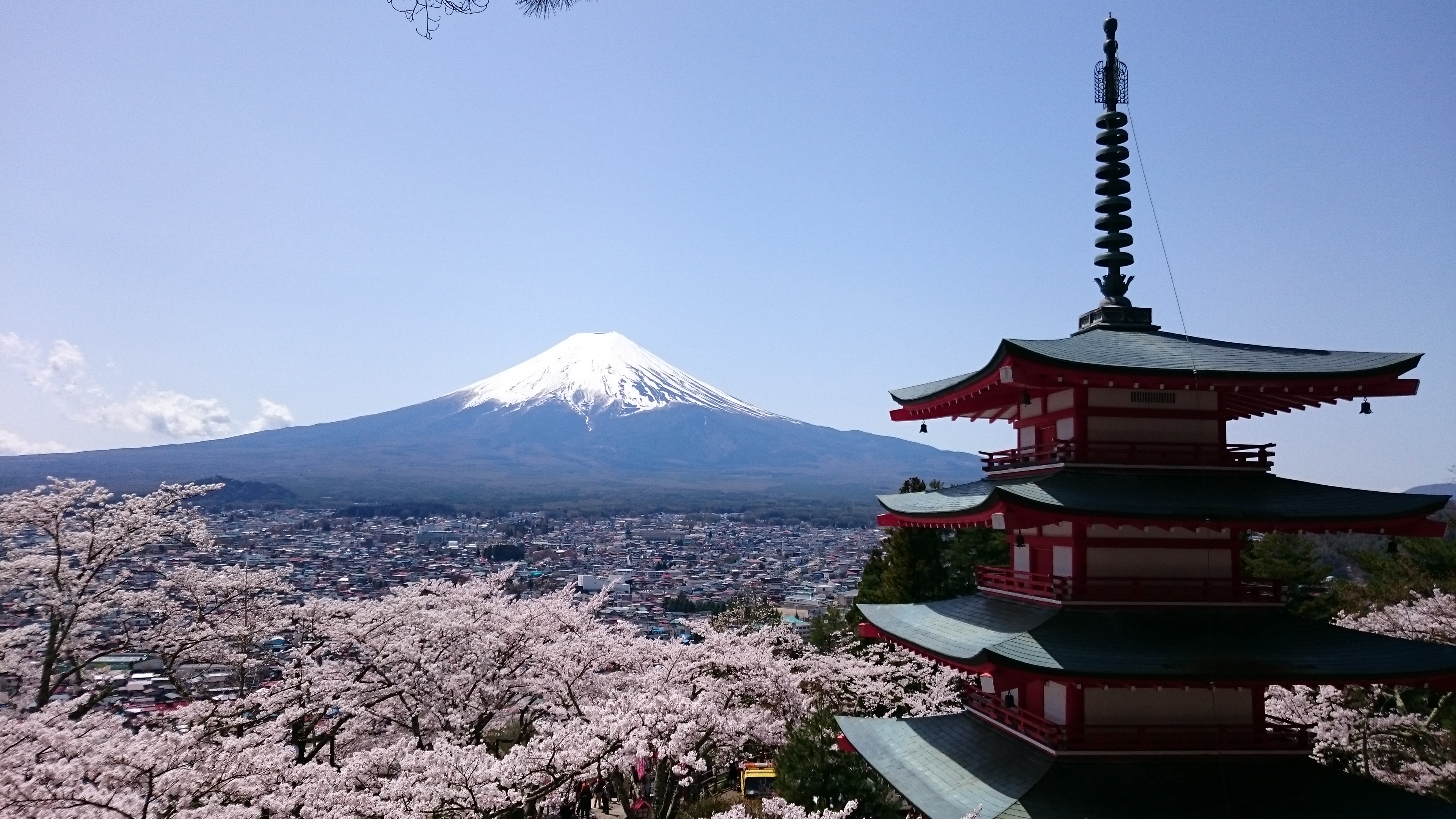 手もみほうとう 12食セット