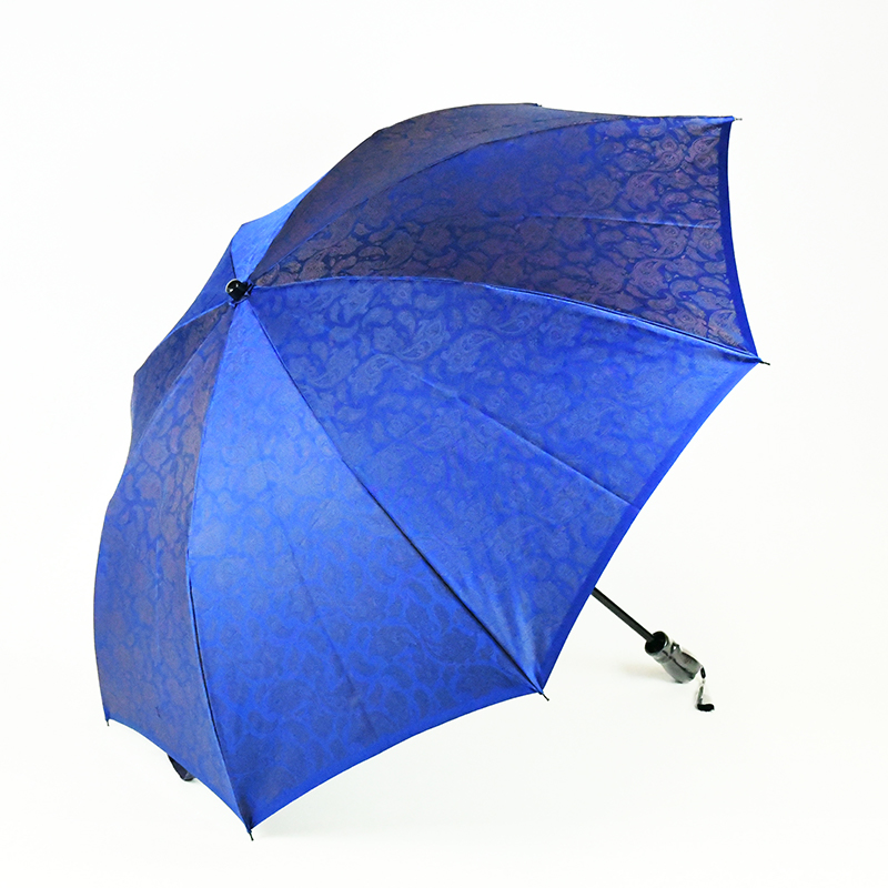 ãæŽéšå
Œçšæç³ã¿åã ãã€ãºãªãŒæ (ãã«ãŒ)