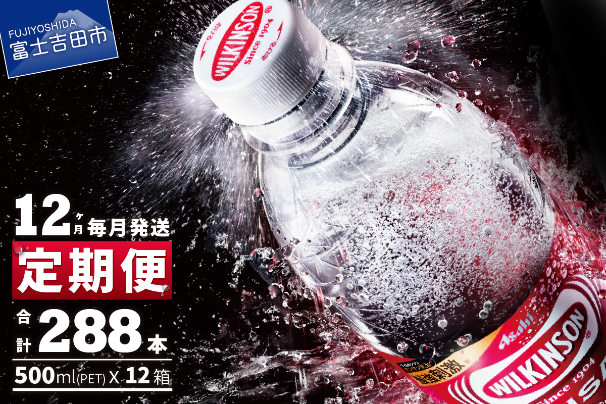 【12ヶ月お届け！】炭酸水 ウィルキンソン　タンサン（24本入）定期便