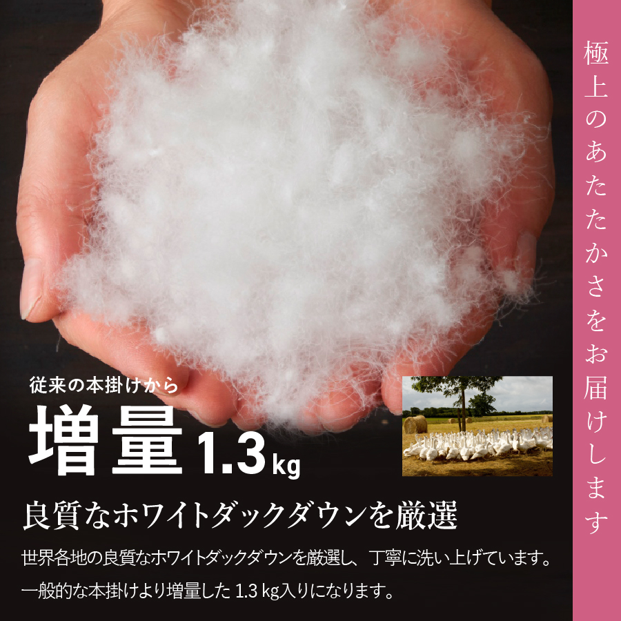 æééå® ã æ°ééå® ïŒ ç·æ¥æ¯æŽåãèš³ãã ãç²å·çŸœæ¯ãµãšããæ¬æã ãµãšã å¢é1.3kg ïŒ ã·ã³ã°ã« / ãä»»ãæ ïŒããŠã³ 85ïŒ
ãå¯è²