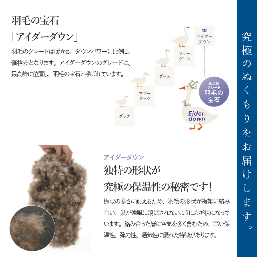 【甲州羽毛肌掛けふとん】銀の糸×アイダーダウン95％ (キング / アイボリー) お任せカバー付き