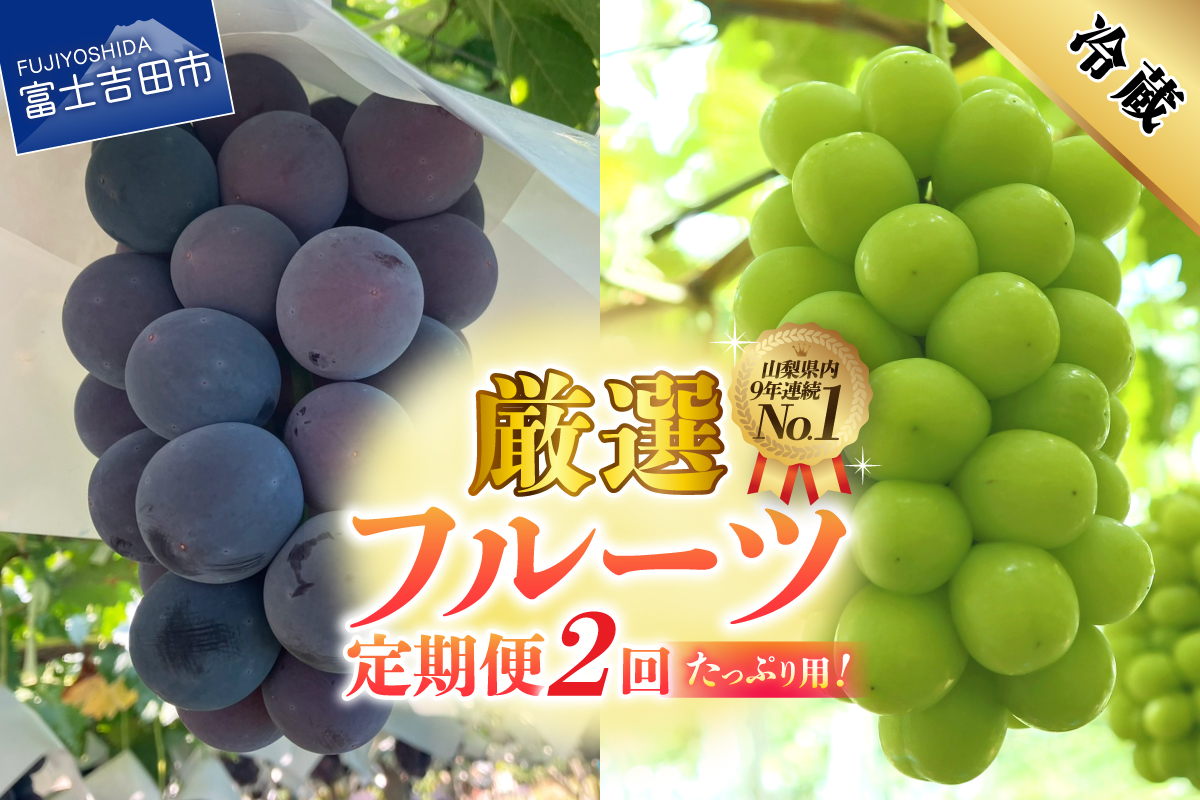 【2026年発送】【2回定期便】厳選 旬のフルーツ定期便（黒ぶどう1kg以上・シャインマスカット1kg以上）