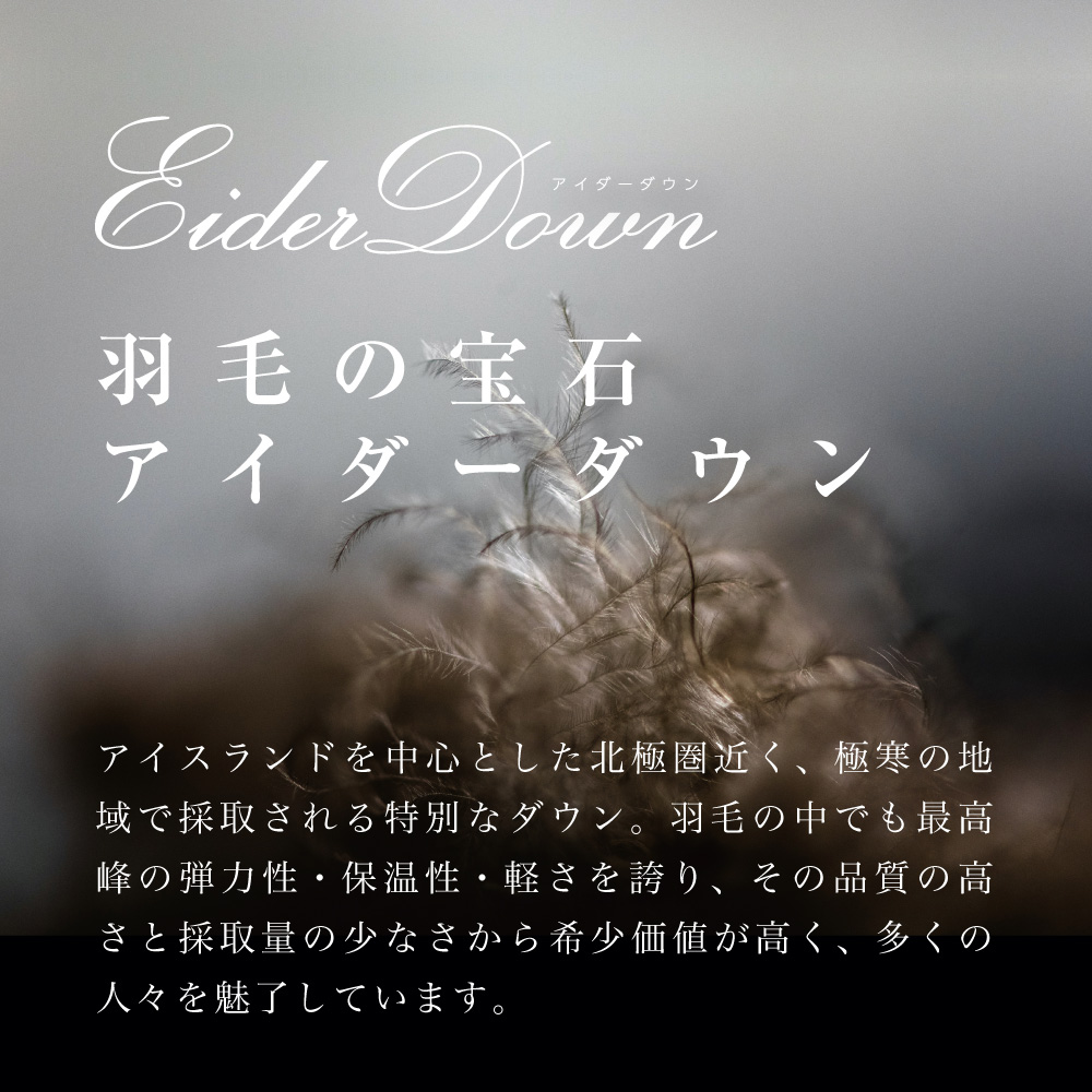 ãèèå¯å
·ã¡ãŒã«ãŒããã³ã¹å°æç£ä¿®ã矜æ¯ã®å®ç³ãã¢ã€ããŒããŠã³ãã®çŸœæ¯èæããµãšã(ã·ã³ã°ã«) ãšã³ãž