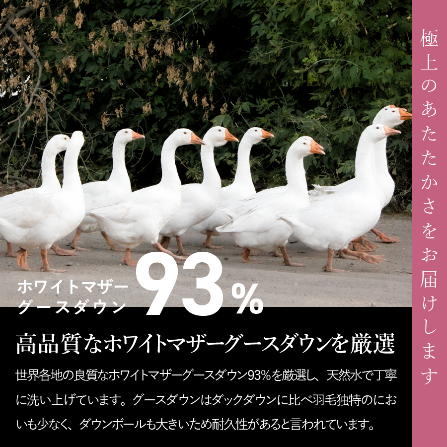 【甲州羽毛ふとん】洗える2枚合せ羽毛ふとんマザーグース93％（シングル/アイボリー）