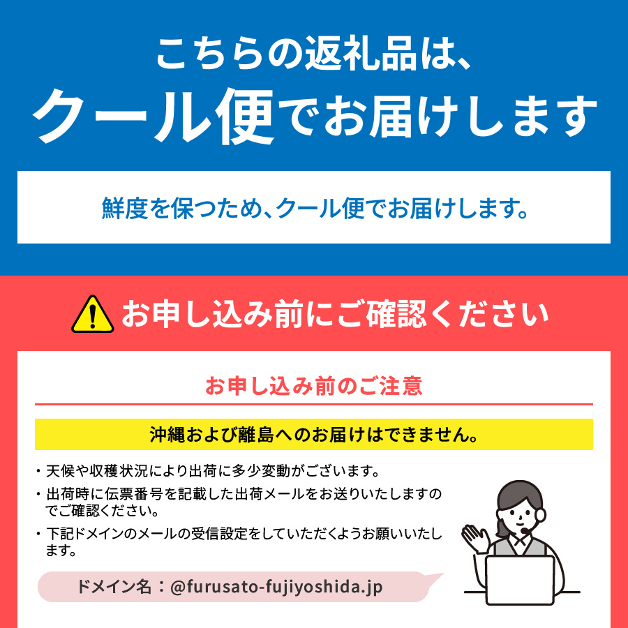 【2026年発送 先行予約】【2回定期便】山梨朝どれ桃2kg×2回配送（白鳳系・白桃系）