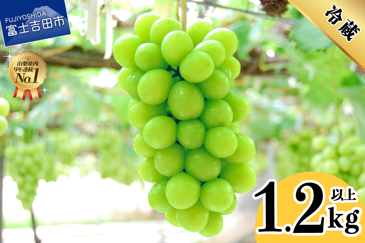 【2026年発送】山梨県産 シャインマスカット2～3房 (1.2kg以上)