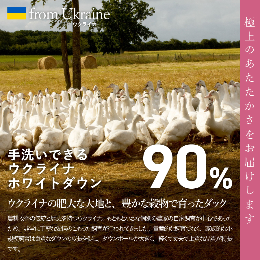 【甲州羽毛肌掛けふとん】手洗いできるウクライナホワイトダウン90% ホワイト（ダブル) ふとんカバー付