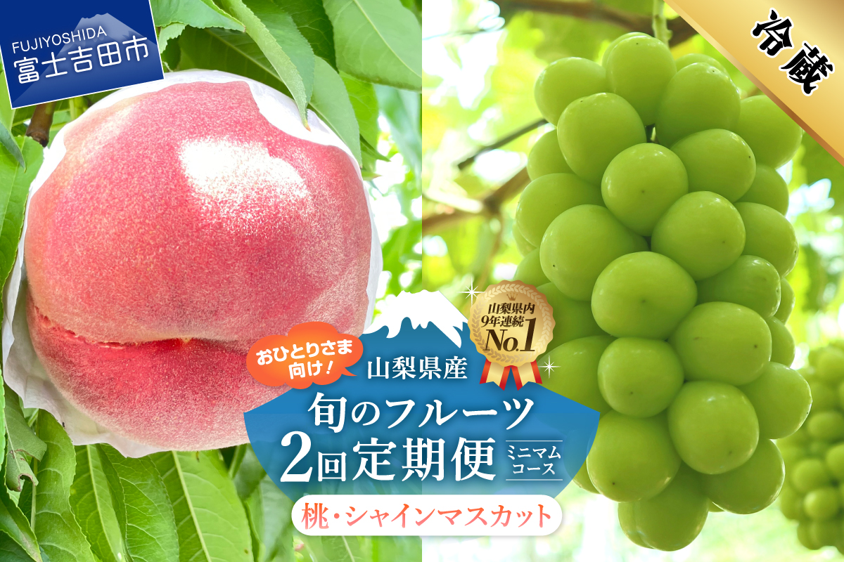 【2026年発送】【ミニマム 2回定期便】厳選 旬のフルーツ定期便（桃3玉・シャインマスカット1房）