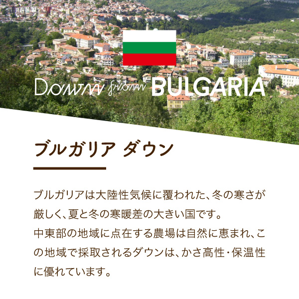 【創業100年】匠がつくる羽毛合い掛けふとん（シングル）ブルー