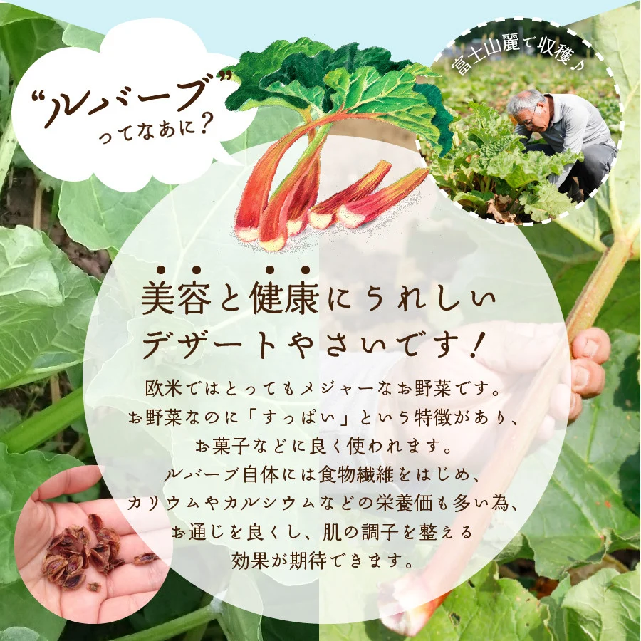 å¯å£«ã®æµã¿ãã«ããŒã ã°ãªãŒã³ ã¹ã ãŒãžãŒ